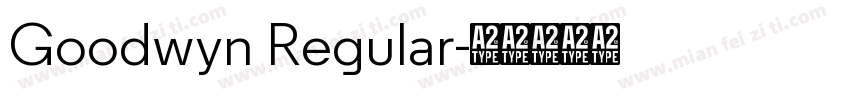 Goodwyn Regular字体转换